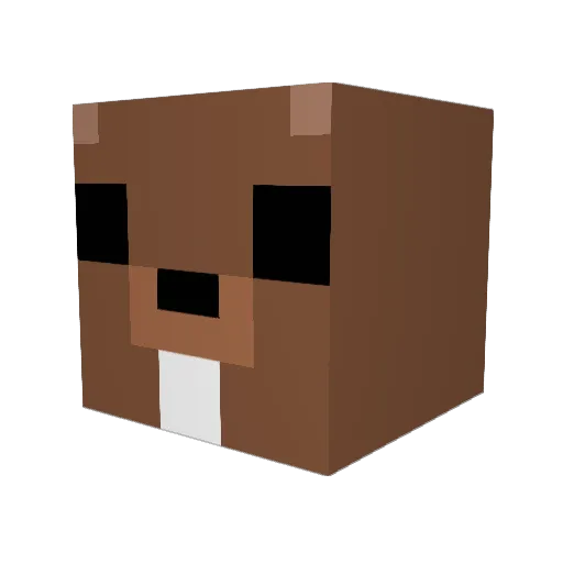 JohnC48 Minecraft avatar head, 3D render