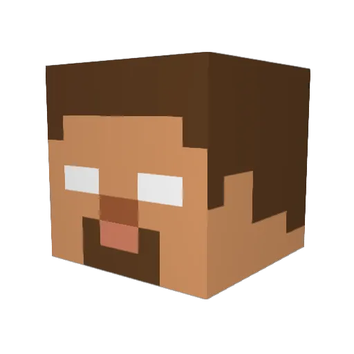 JohnCoins Minecraft avatar head, 3D render