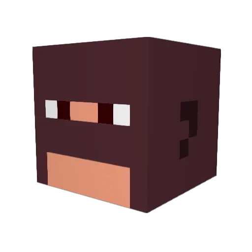 JohnFlower Minecraft avatar head, 3D render