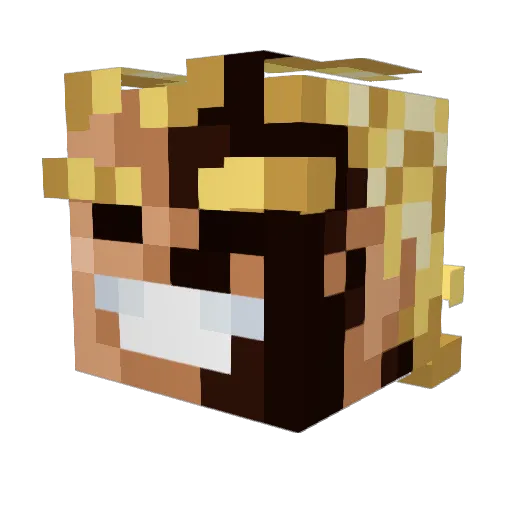JohnHardly Minecraft avatar head, 3D render
