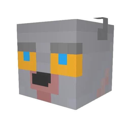 JohnHeinz Minecraft avatar head, 3D render
