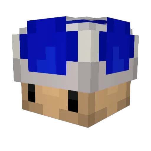 JohnM127 Minecraft avatar head, 3D render