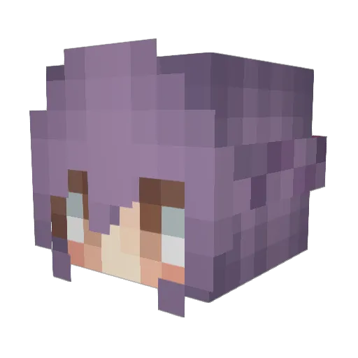 JohnMallard Minecraft avatar head, 3D render