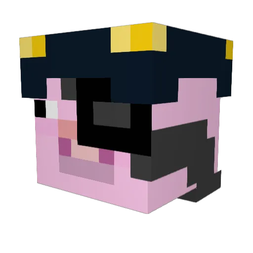 JohnMinecraft_12 Minecraft avatar head, 3D render