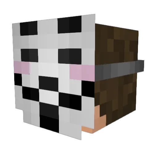 JohnNicks Minecraft avatar head, 3D render