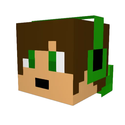 JohnOchocho Minecraft avatar head, 3D render