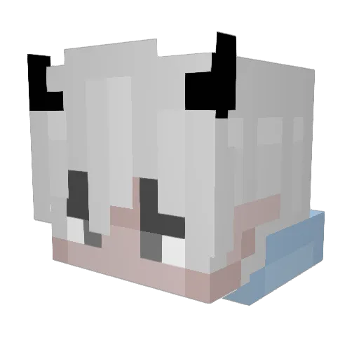 JohnStapler1994 Minecraft avatar head, 3D render