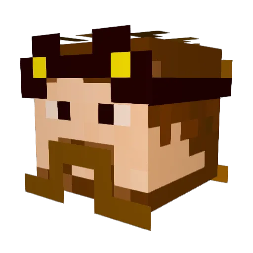 JohnTheCactus Minecraft avatar head, 3D render