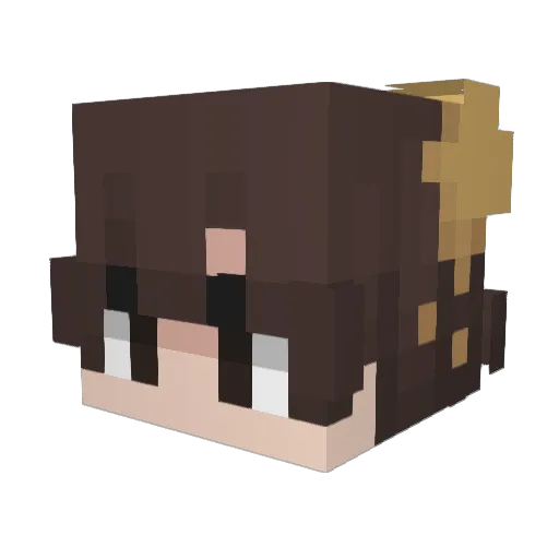 JohnVi_ctor Minecraft avatar head, 3D render
