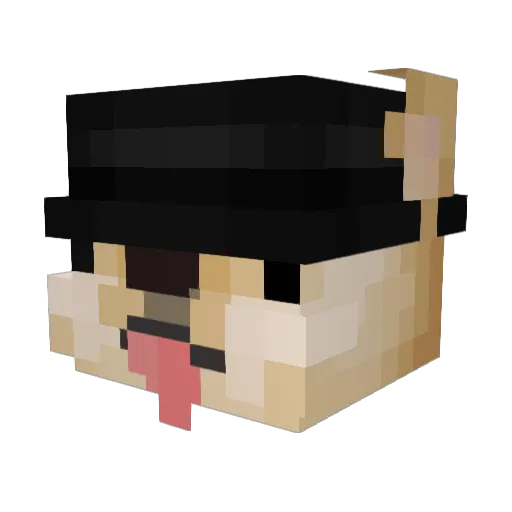 JohnWarwick Minecraft avatar head, 3D render