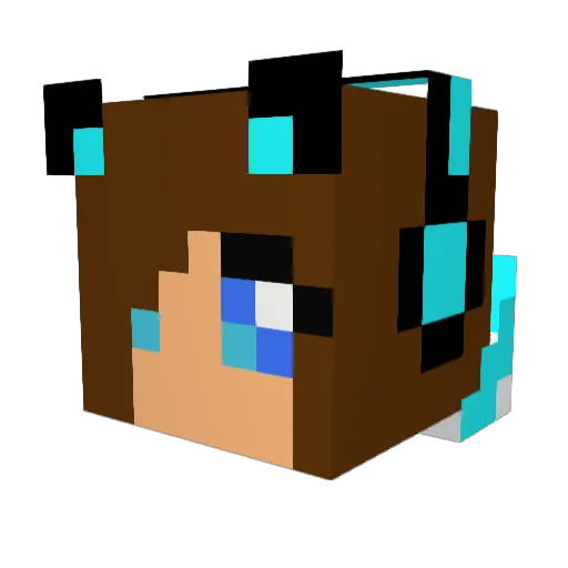John_33 Minecraft avatar head, 3D render