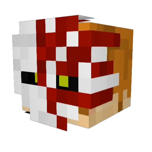 John_D_1999 Minecraft avatar head, 3D render
