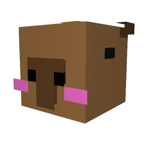 John_Zal Minecraft avatar head, 3D render