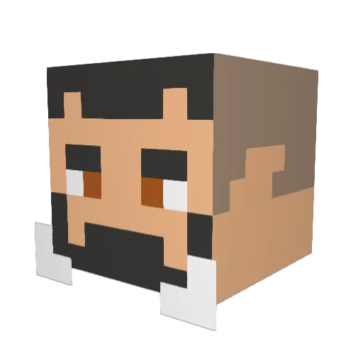 Johnafok Minecraft avatar head, 3D render