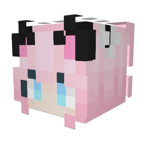 Johnathaaaa Minecraft avatar head, 3D render