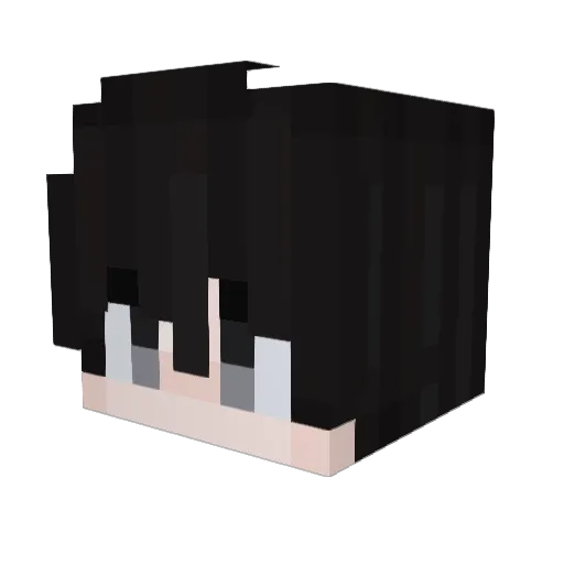 Johneplayer Minecraft avatar head, 3D render
