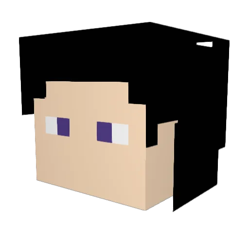 Johney15376 Minecraft avatar head, 3D render