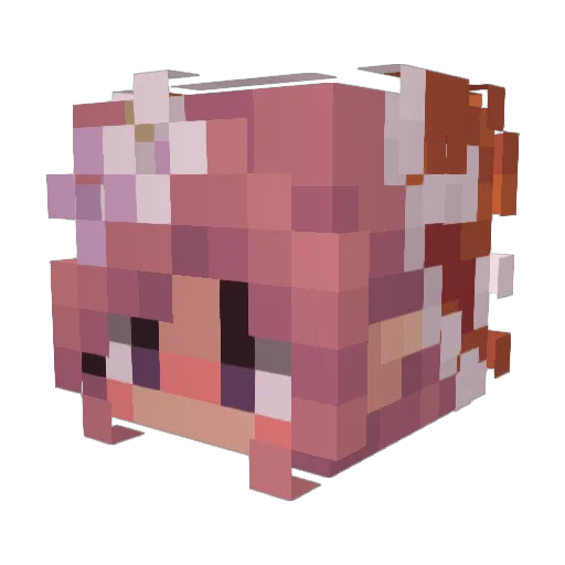 Johnluvcake Minecraft avatar head, 3D render