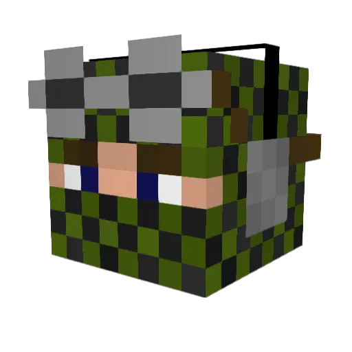 JohnnyBoy221 Minecraft avatar head, 3D render