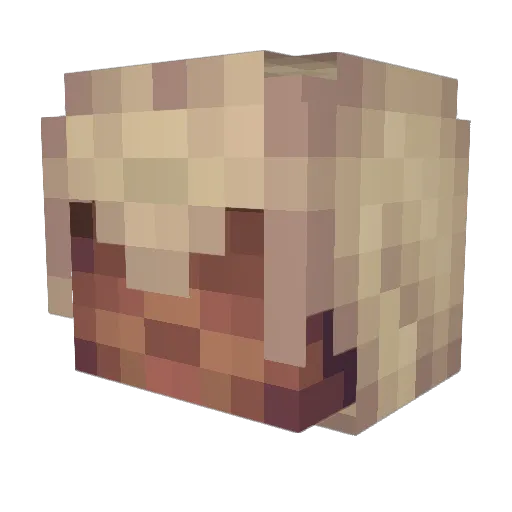 JohnnyDamerica Minecraft avatar head, 3D render