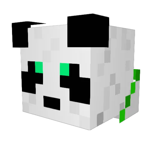JohnnyPanda Minecraft avatar head, 3D render