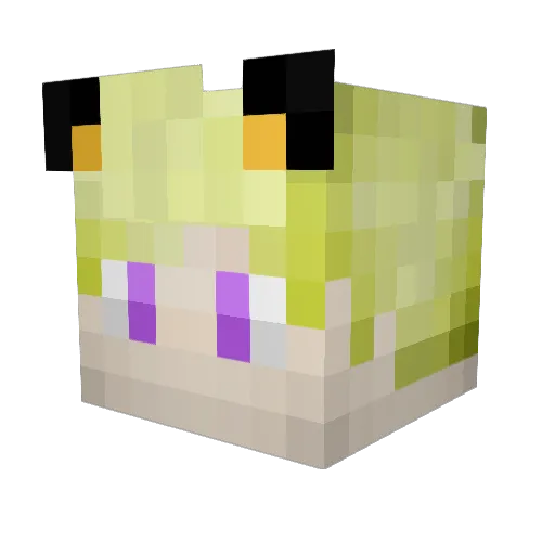 JohnnySteeze Minecraft avatar head, 3D render