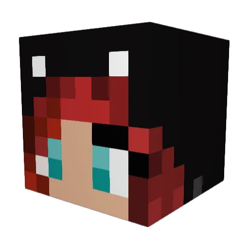 JohnnyTsunamie Minecraft avatar head, 3D render
