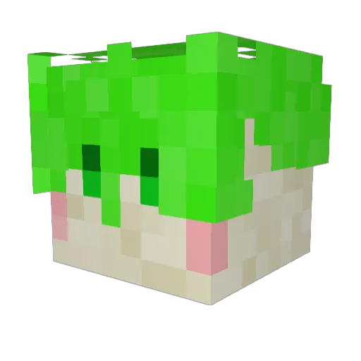 Johnny_1213 Minecraft avatar head, 3D render