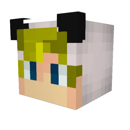 Johnny_Panda Minecraft avatar head, 3D render