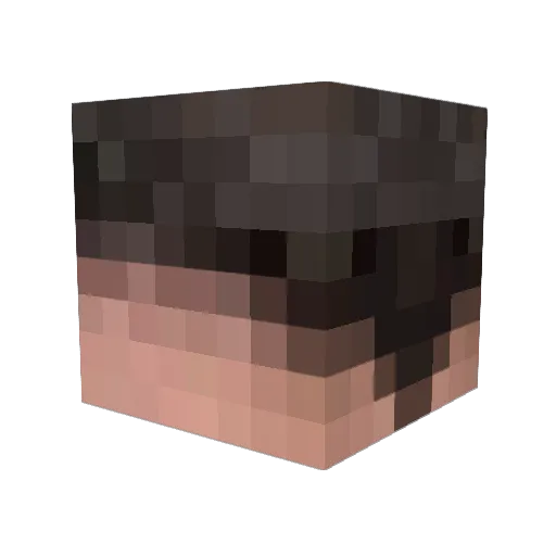 Johnny_Salami02 Minecraft avatar head, 3D render