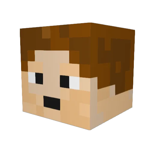Johnnyboy312 Minecraft avatar head, 3D render