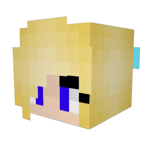Johnnytootoo22 Minecraft avatar head, 3D render