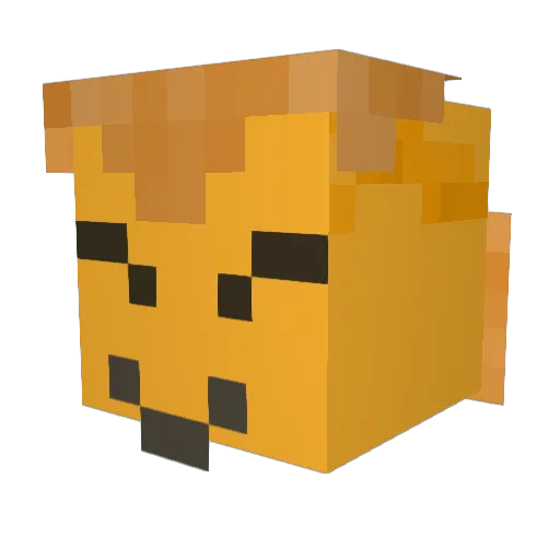 Johnpaulalex Minecraft avatar head, 3D render