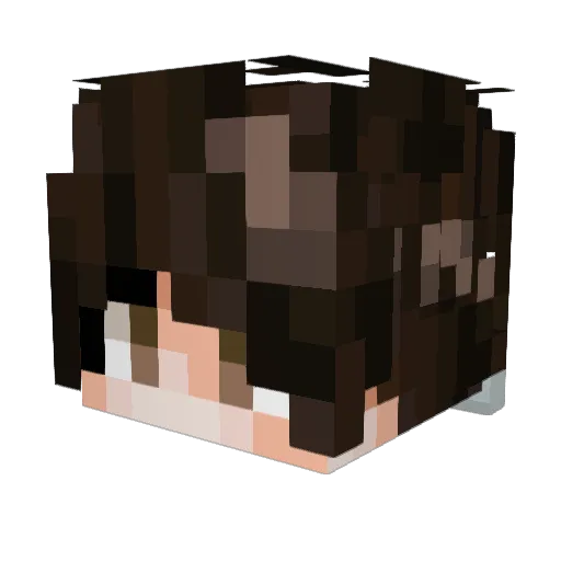 Johnso Minecraft avatar head, 3D render