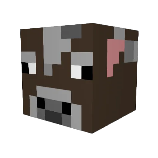 Johnson116 Minecraft avatar head, 3D render