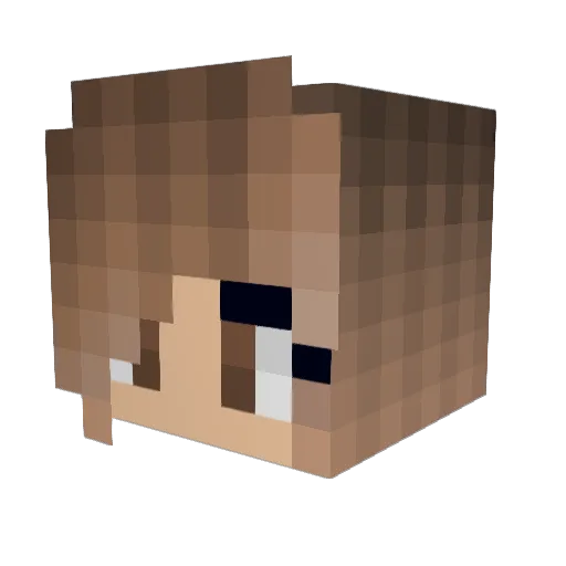 Johnson1993 Minecraft avatar head, 3D render