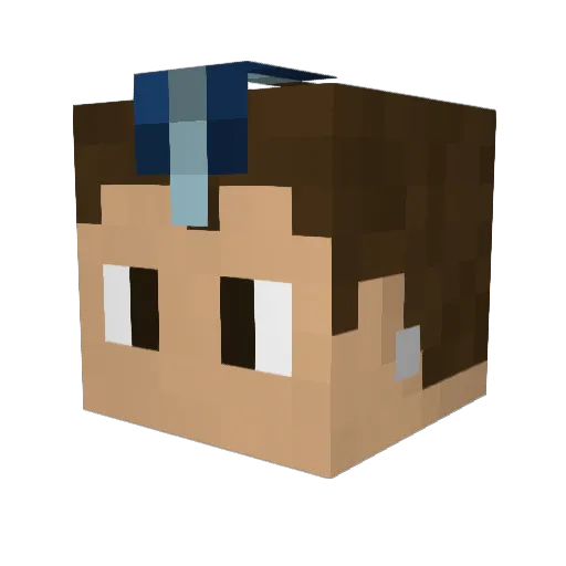 Johnsstage Minecraft avatar head, 3D render