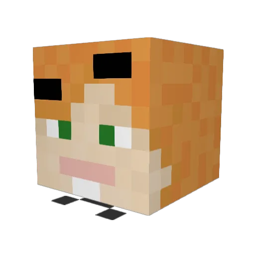JohnyGL16 Minecraft avatar head, 3D render