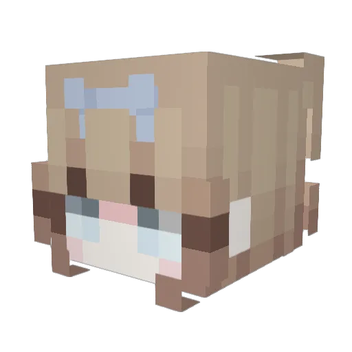 Joia2430 Minecraft avatar head, 3D render