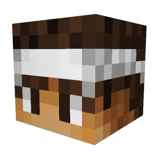 Jojakem Minecraft avatar head, 3D render