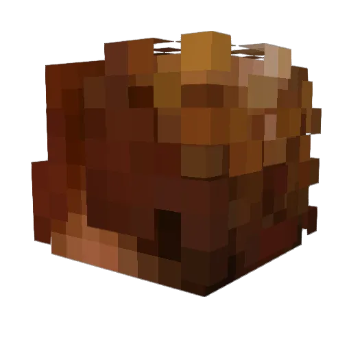 Jojing Minecraft avatar head, 3D render