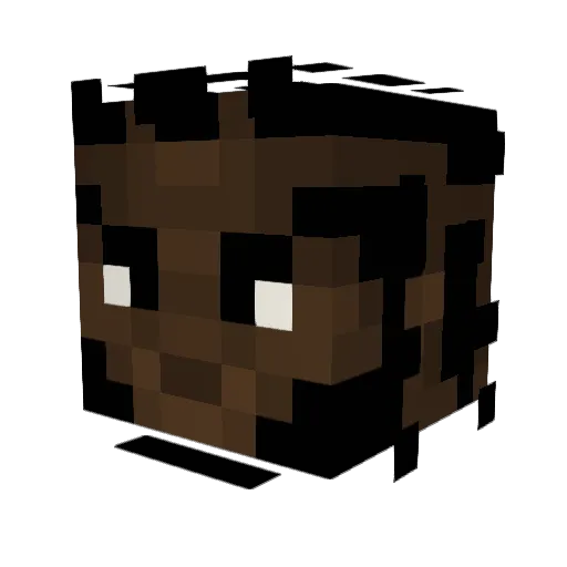 Jojo164 Minecraft avatar head, 3D render