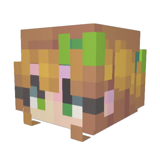 Jojo2580 Minecraft avatar head, 3D render