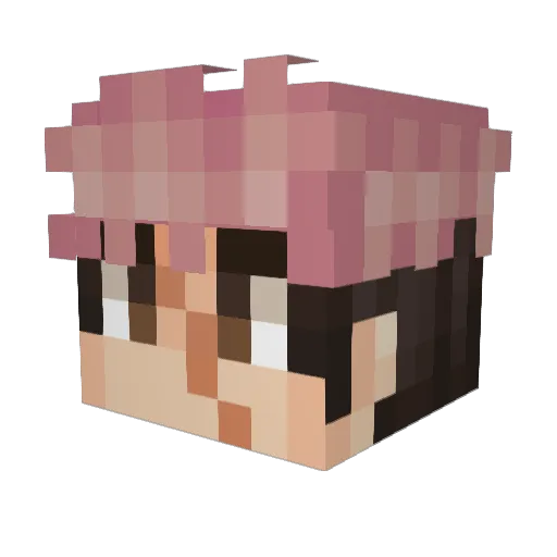 JojoVegetables Minecraft avatar head, 3D render