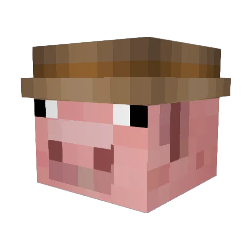 Jojonet10 Minecraft avatar head, 3D render