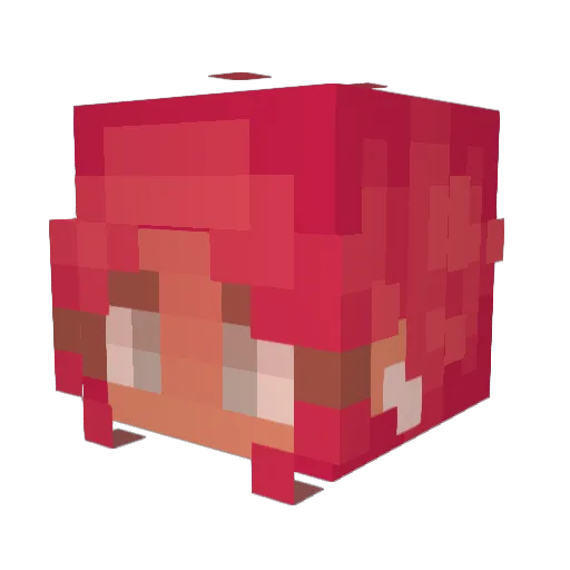 Jojox55 Minecraft avatar head, 3D render