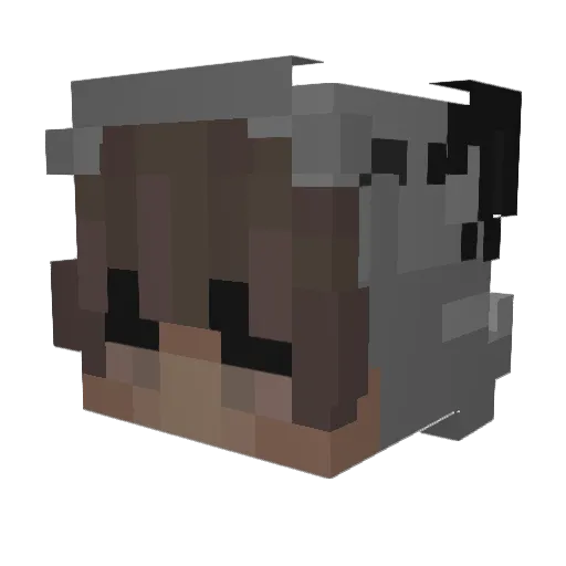 Jokanight Minecraft avatar head, 3D render