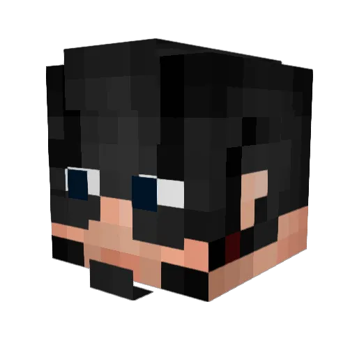 Jokarlimb Minecraft avatar head, 3D render