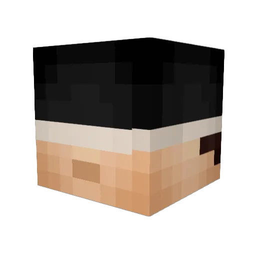 JokerMW4 Minecraft avatar head, 3D render