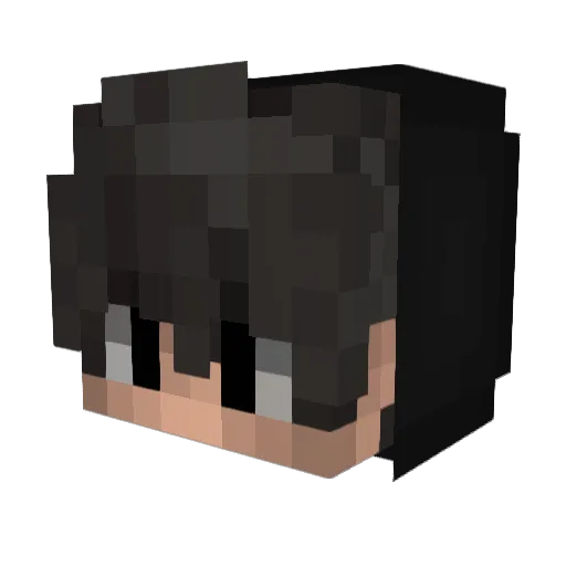 Jokerer7 Minecraft avatar head, 3D render